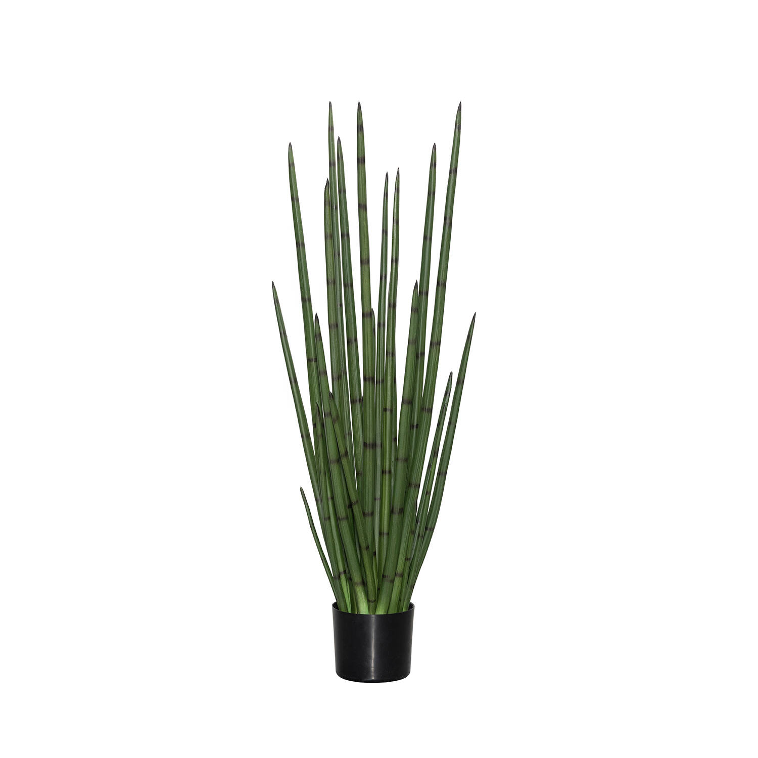 Levně Pottery Pots Realistická umělá rostlina Sansevieria cylindrica, více velikostí - PotteryPots Velikost: M - ø 30 cm | v. 120 cm