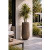 Elegant patio with Dracaena planter