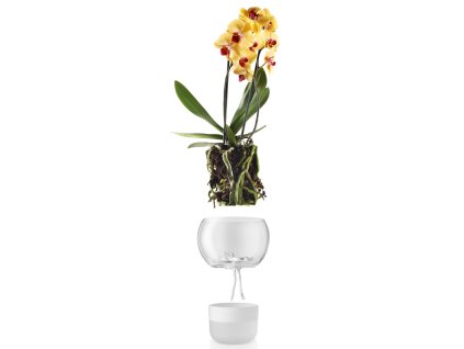 14961 samozavlazovaci skleneny kvetinac na orchidej prumer 15cm eva solo