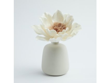 5ebe8ac203905bc13c5a8d3886cf