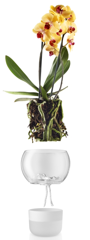 Önöntözős üveg virágcserép orchideához 15 cm, Eva Solo akciós termékkép 1