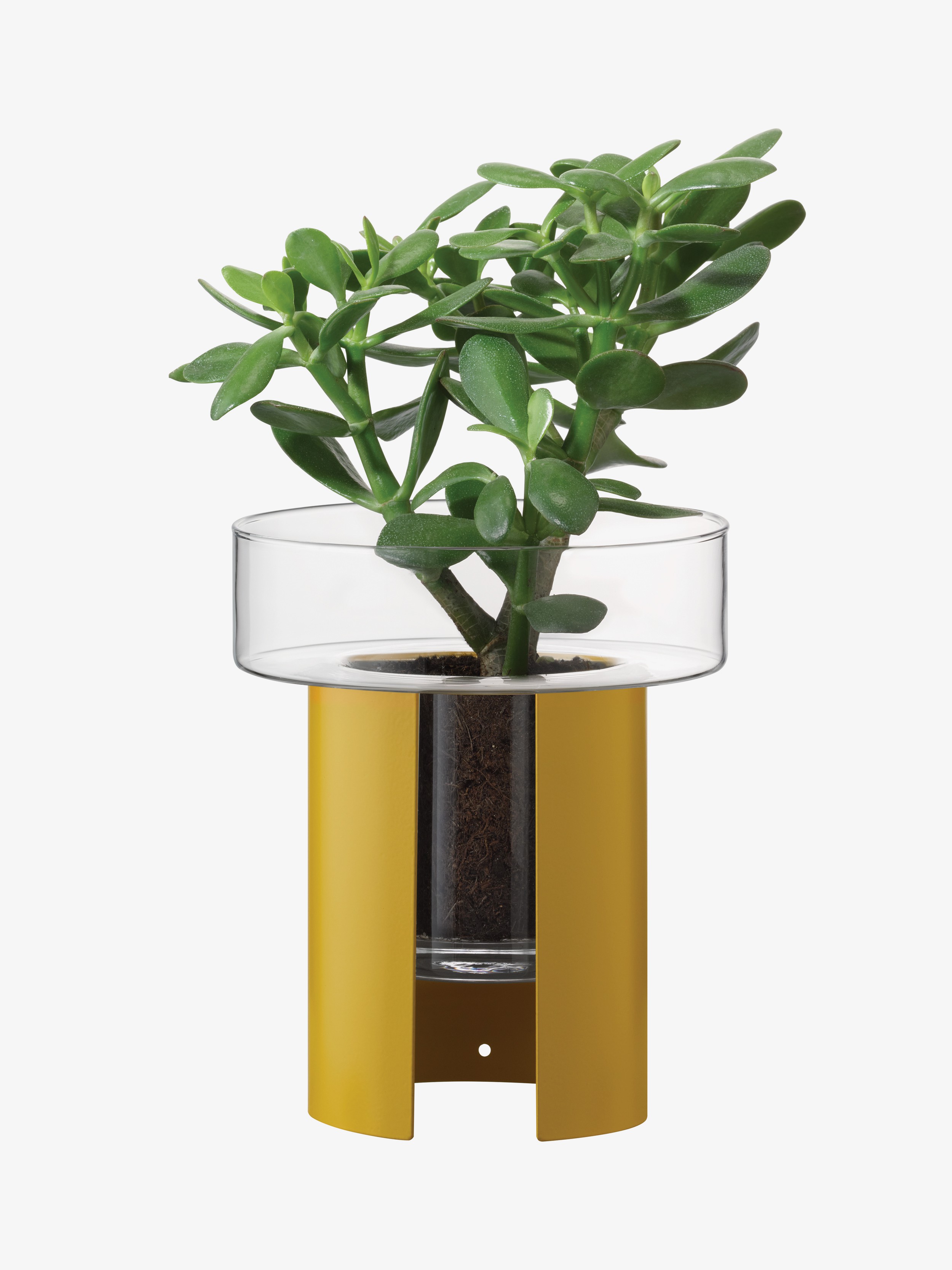 LSA International Terrazza virágcserép, h 22 cm, Ø19 cm, átlátszó/mustársárga - LSA nemzetközi akciós termékkép 1