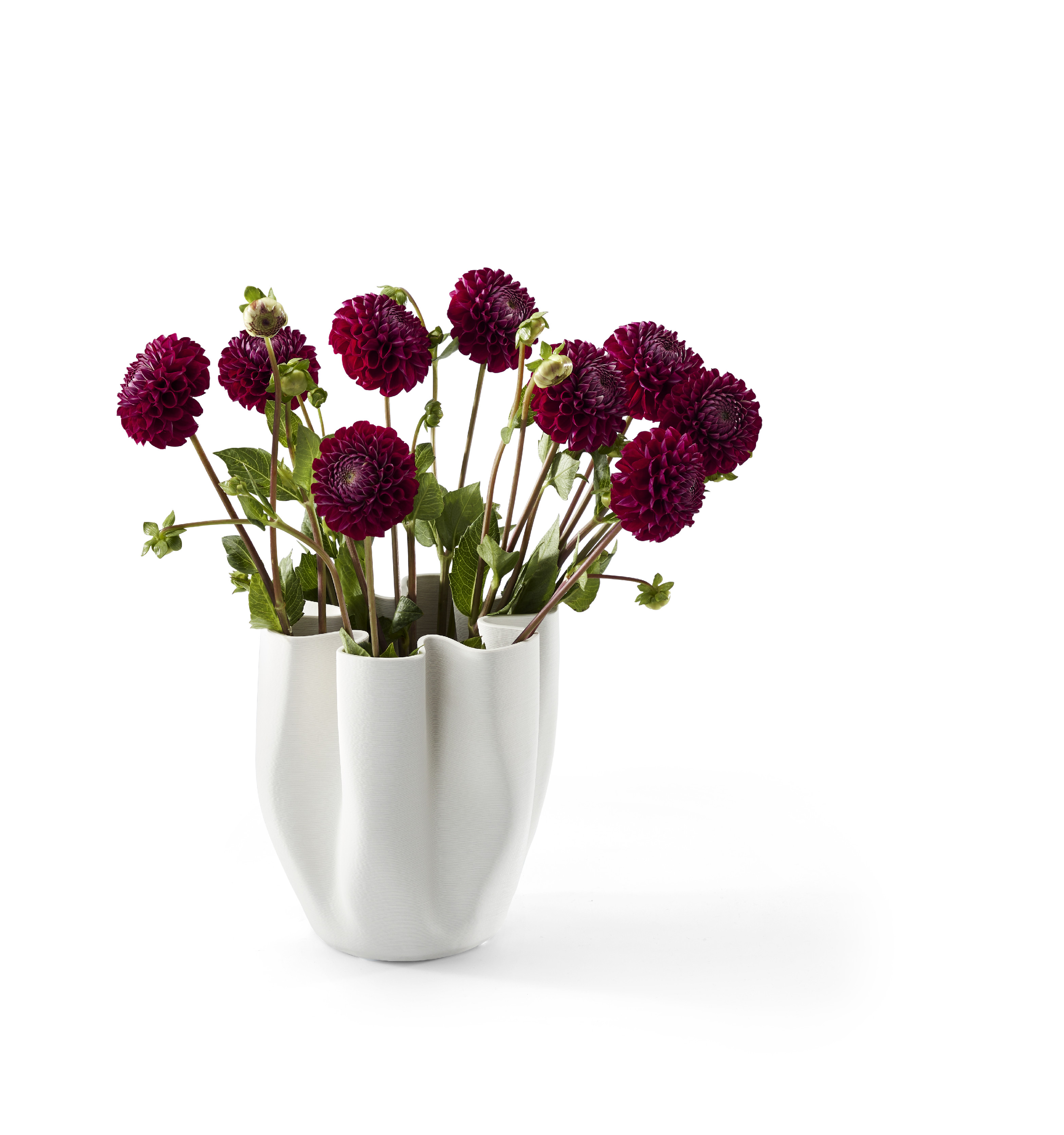 Lisztes VáZa - Philippi-image