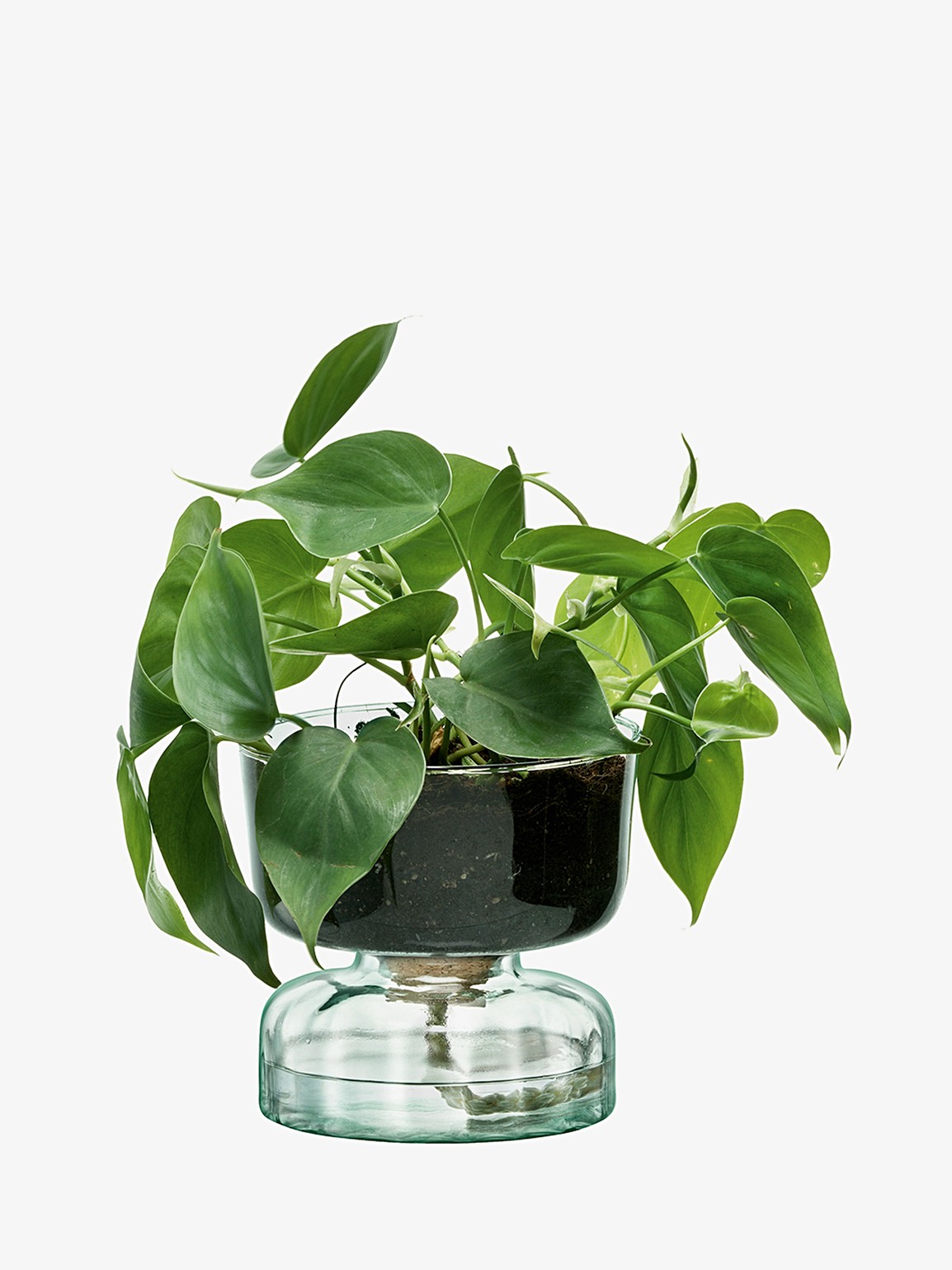 Samozavlažovací květináč Canopy, výška 13 cm, čirý - LSA International akciós termékkép 1