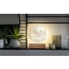 Gingko Smart Moon Lamp11