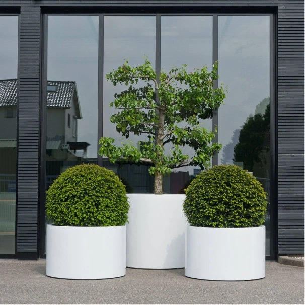 7 krokov, ako zariadiť záhradu