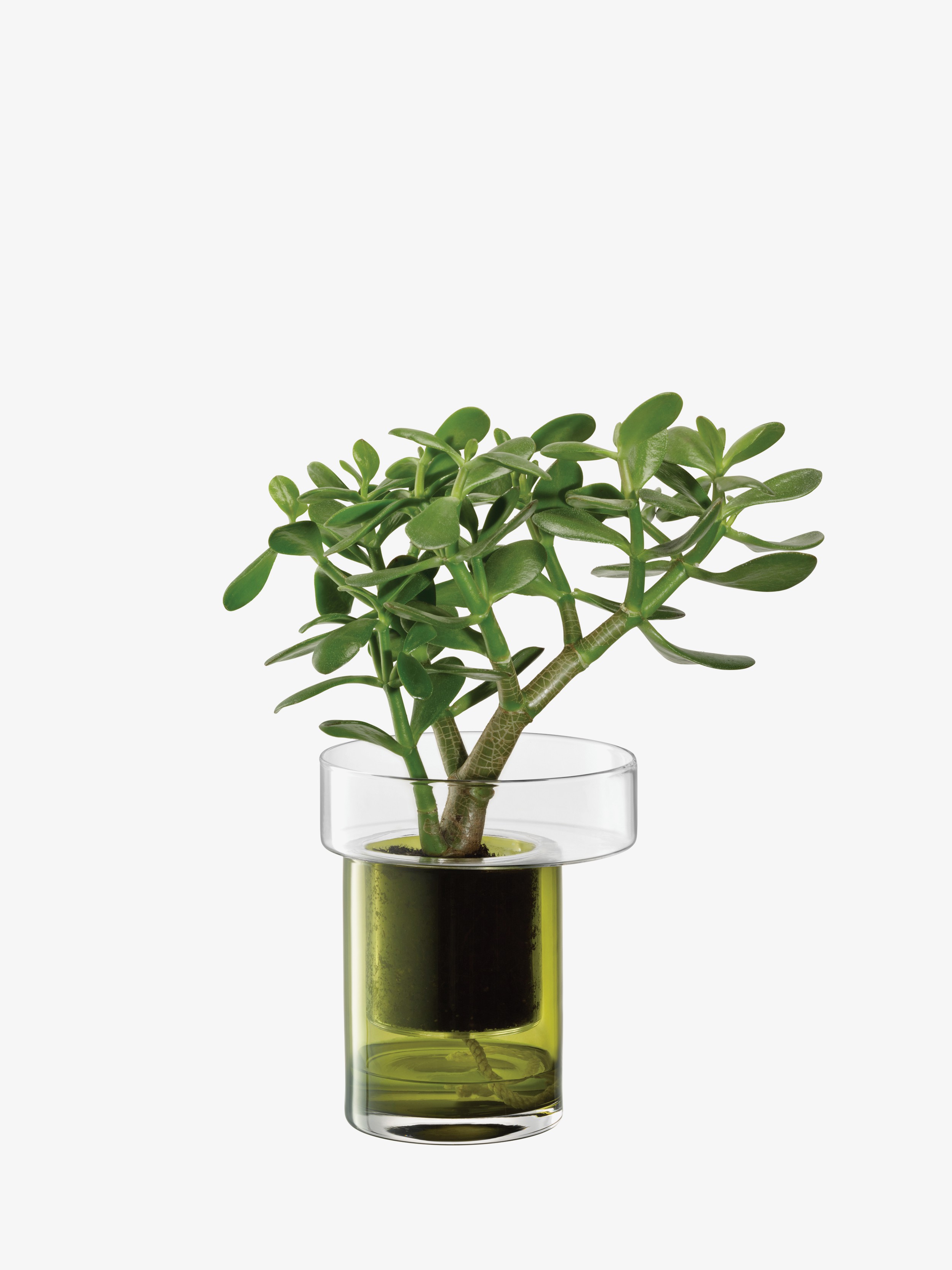 E-shop Samozavlažovací kvetináč Balcony, v. 19 cm, Ø16 cm, číra/olivovo zelená - LSA international