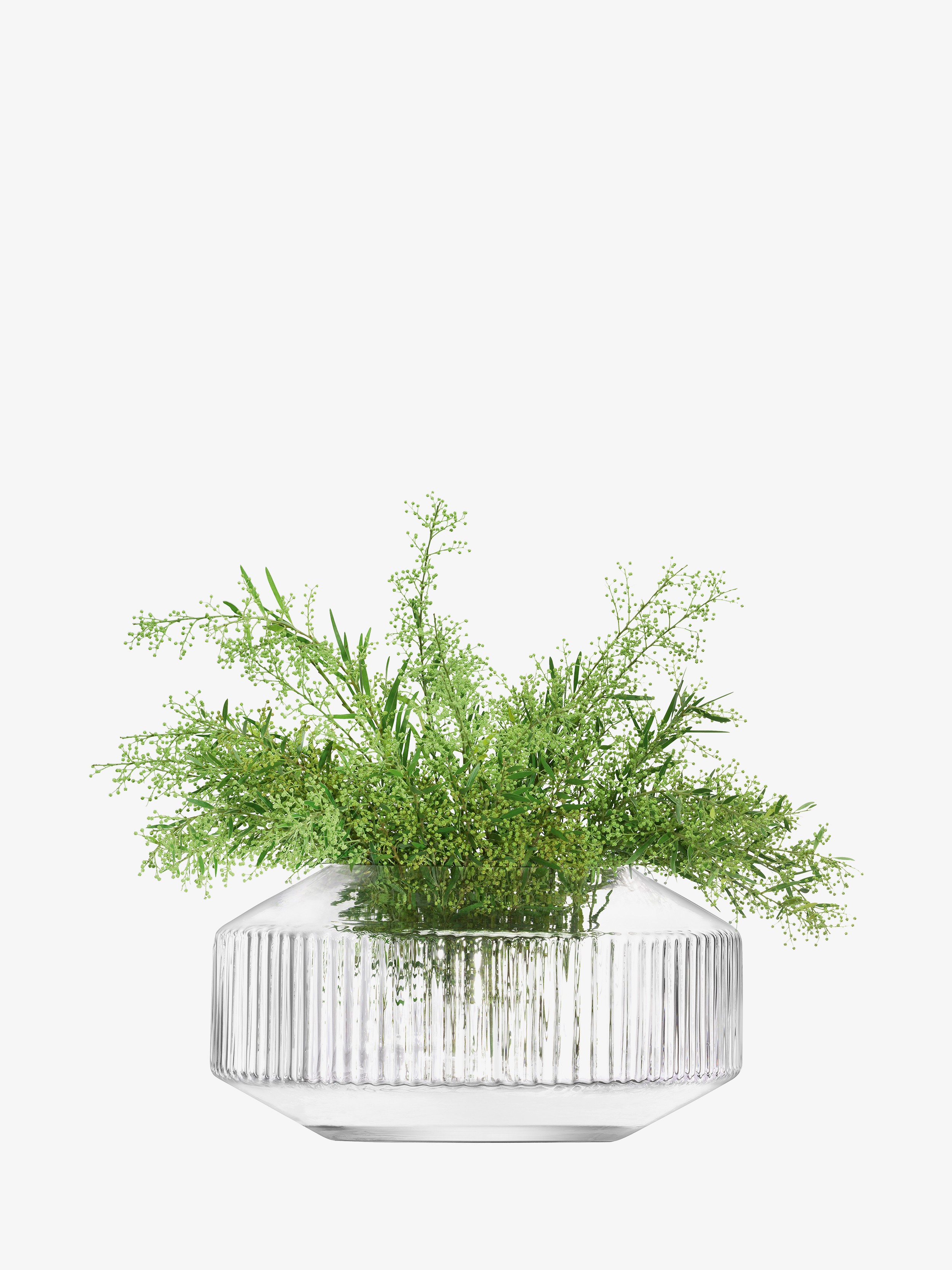 E-shop Široká váza Rotunda, v. 14 cm, číra - LSA international