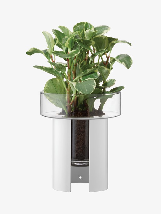 E-shop Terrazza kvetináč, v. 22 cm, Ø19 cm, číra/kriedovo biela - LSA international
