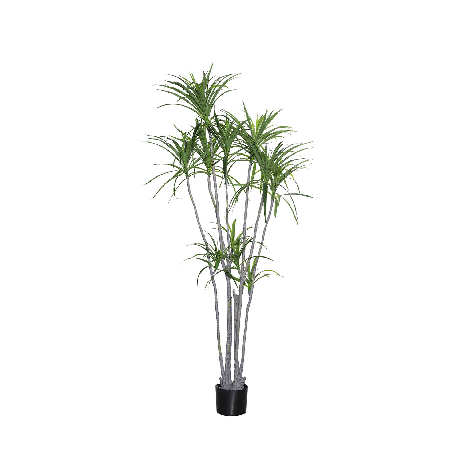 E-shop Pottery Pots Realistická umelá rastlina Dracéna marginata, veľ. XL - ø 50 cm | v. 230 cm - PotteryPots