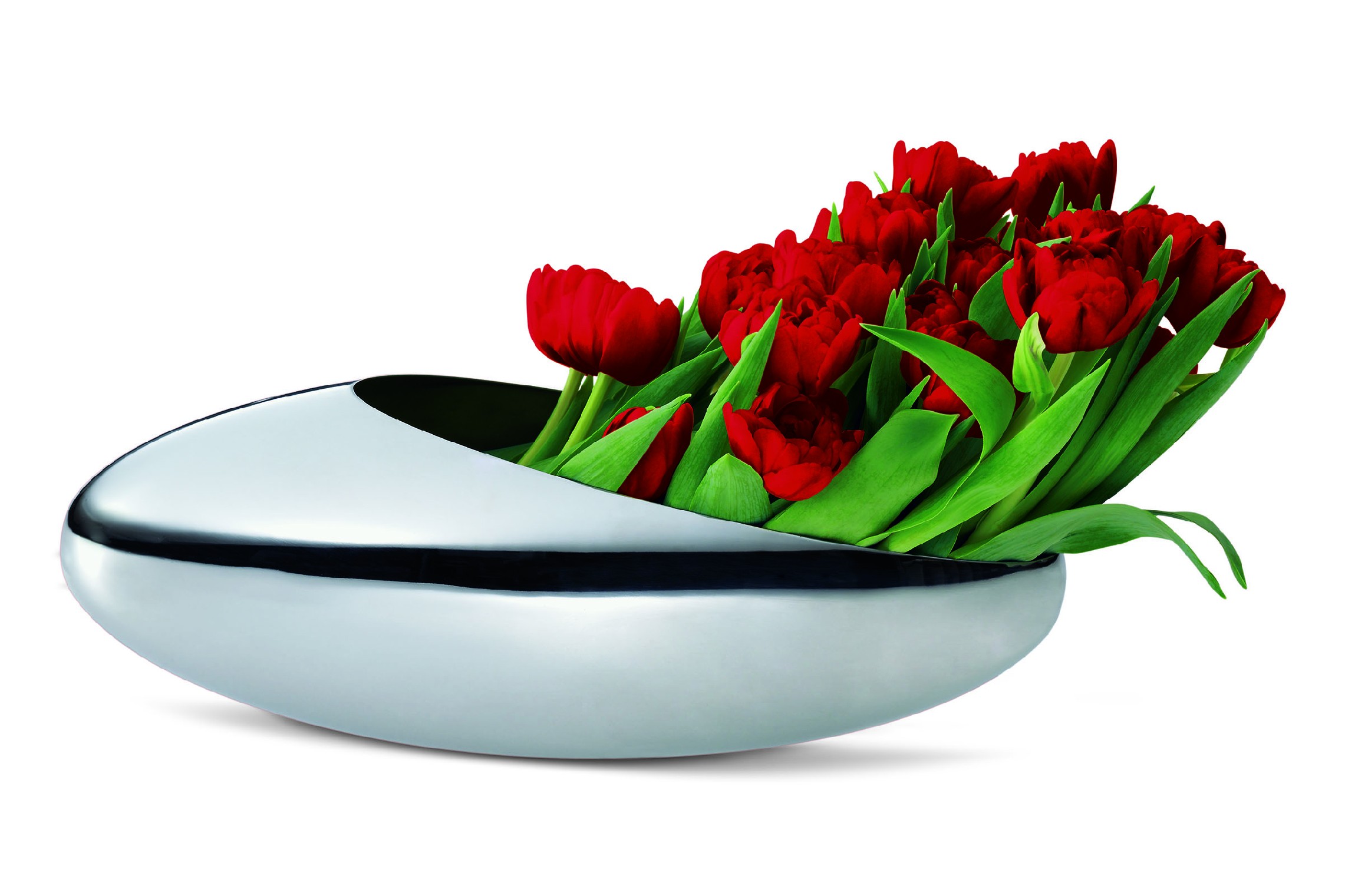 E-shop COCOON váza na tulipány/chladič šampanského - Philippi