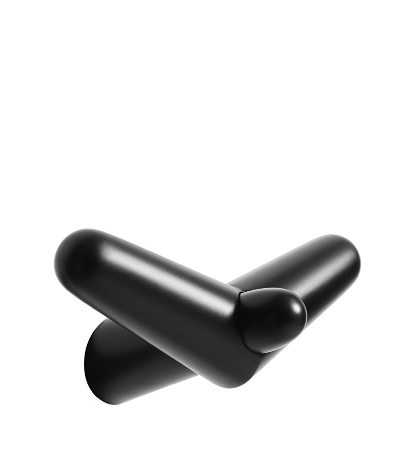 E-shop Nástěnný vešiak "Tail Wing", stredný, 2 varianty - Woud Varianta: čierna breza
