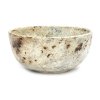 JAES005Ant L 1 1000x1000