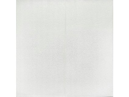 Samolepiaci dekoračný 3D panel na stenu 70x70cm 4mm Biela 162