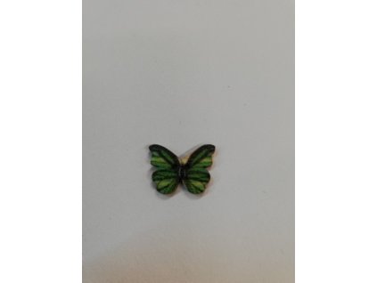 Dřevěný knoflík 2 dírky 2 cm Motýl 3