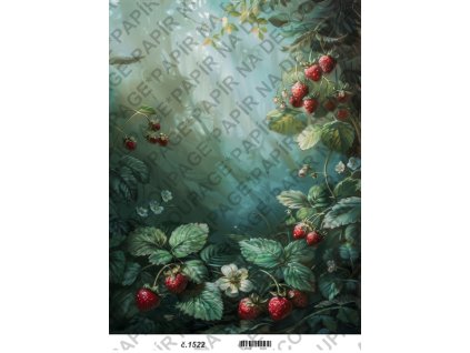 1522v