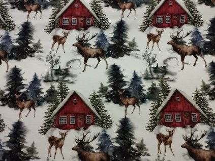 ba mf tp 06 zimní krajina