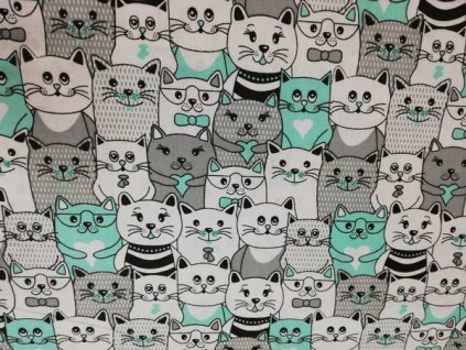BA JI 302 kočky šedé a tyrkysové