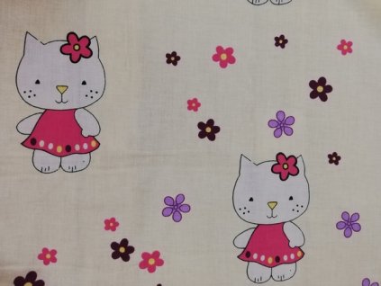 BA JI 334 hello kitty