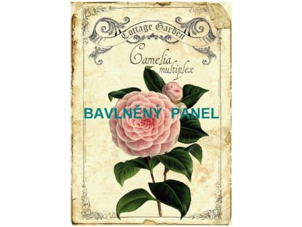 Panel bavlna - KVĚTINY-166-218