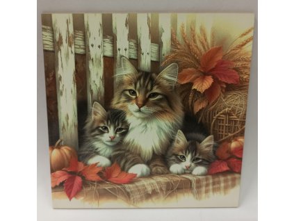 Obrázek na destičce - Kočky u plotu - 20 x 20 cm