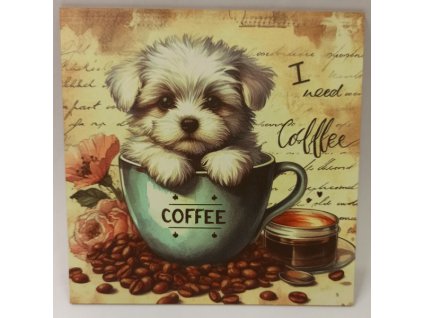 Obrázek na destičce  - Pejsek v šálku - 20 x 20 cm