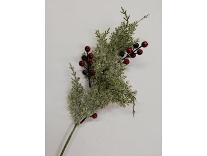 s červenými bobulemi