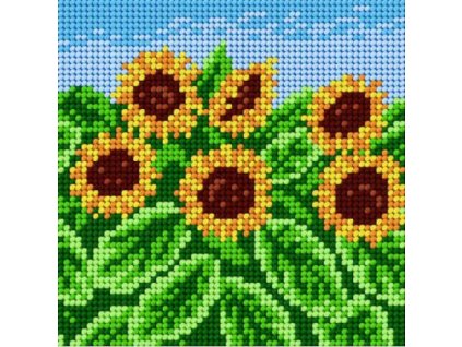 Tištěná předloha pro výšivku 15 x 15 cm Slunečnice
