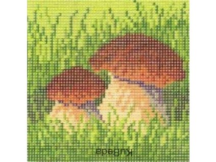 Tištěná předloha pro výšivku 15 x 15 cm Hřib