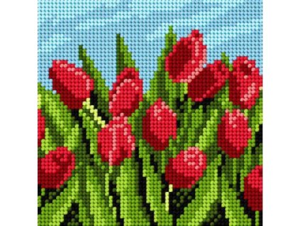 Tištěná předloha pro výšivku 15 x 15 cm Tulipány