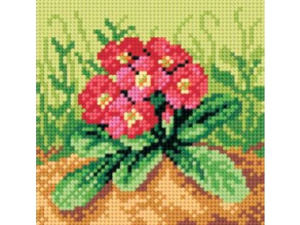 Tištěná předloha pro výšivku 15 x 15 cm Primulky