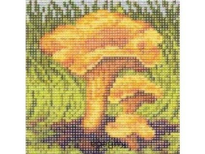 Tištěná předloha pro výšivku 15 x 15 cm Liška