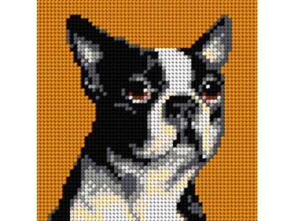 Tištěná předloha pro výšivku 15 x 15 cm Bostonský teriér