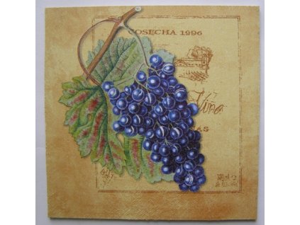 Obrázek č.27 15 x 15 Modrý hrozen