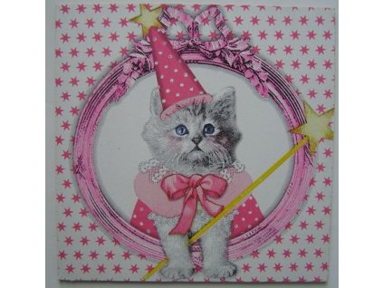 Obrázek č.80 16 x 16 Kočka kouzelnice