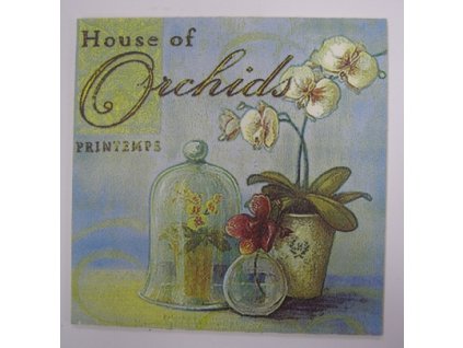 Obrázek č.90 15 x 15 Orchidea