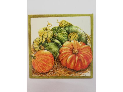 Obrázek na destičce 12 x 12 cm Dýně