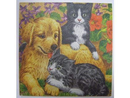 Obrázek na destičce 15 x 15 Pejsek a koťátko