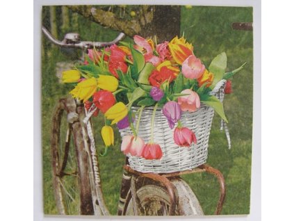 Obrázek č.196 16 x 16 Tulipány a kolo