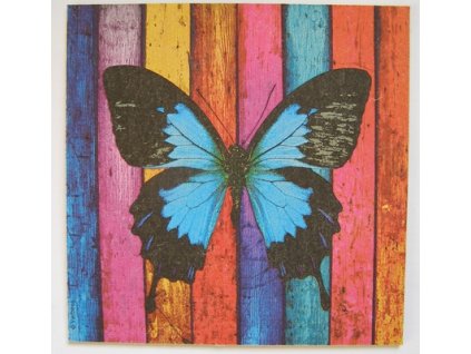 Obrázek č.199 16 x 16 Motýl