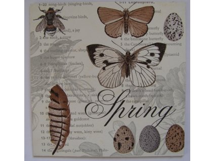 Obrázek č.200 16 x 16 Motýli