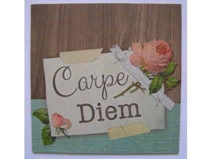 Obrázek č.221 16 x 16 Carpe diem s růží