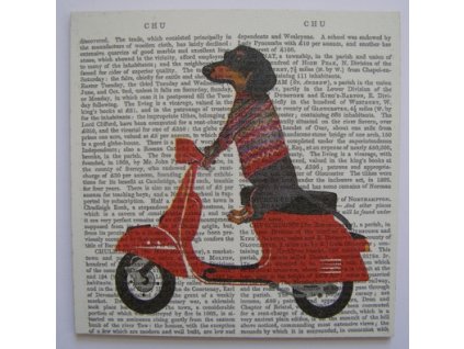 Obrázek č.237 16 x 16 Pes na motorce a noviny