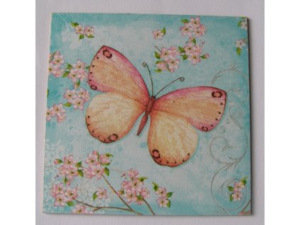 Obrázek č.244 16 x 16 Motýl a květinky