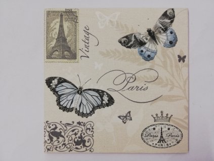 Obrázek na destičce 16 x 16 cm Motýli Paříž