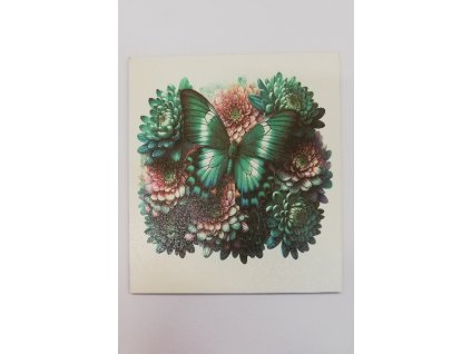 Obrázek na destičce 15 x 15 Motýl na květinách 5