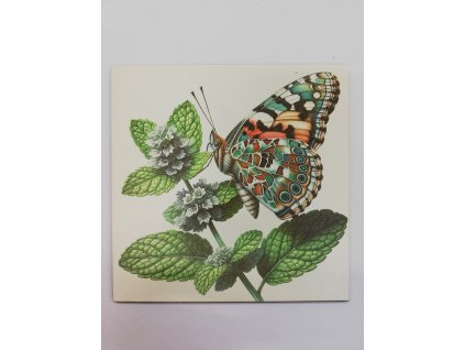 Obrázek na destičce 15 x 15 Motýl na květinách 7