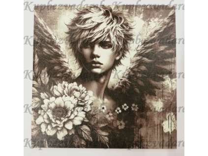 Obrázek na destičce 15 x 15 cm Anděl černobílý