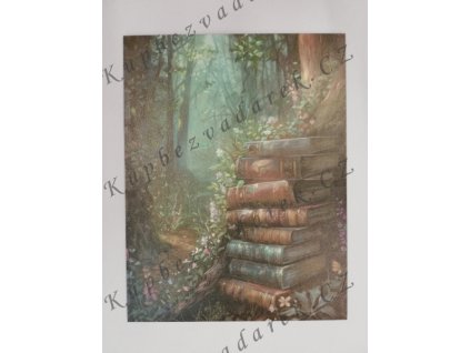 Obrázek na destičce 26 x 20 Příroda knihy