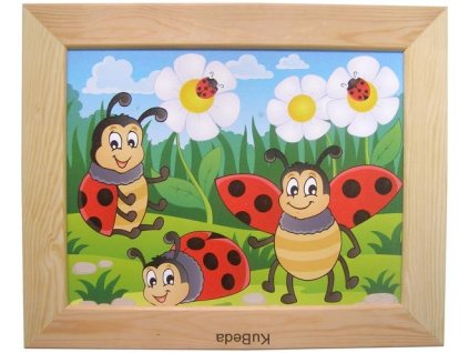 Obraz 23 x 30 cm Berušky